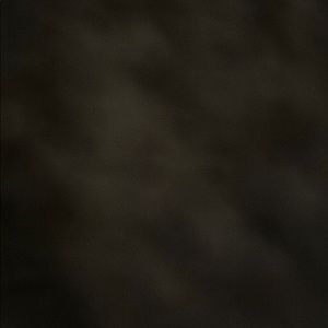 Meet your Posher, Maggie